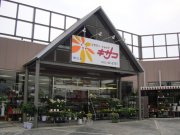 「三矢　キサコフラワーショップ」　（山口県下松市）の花屋店舗写真1